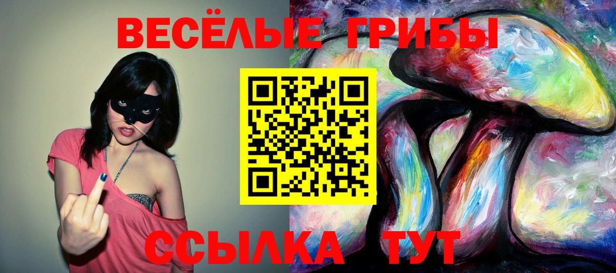 Галлюциногенные грибы Magic Shrooms  Галлюциногенные грибы GOLDEN TEACHER  Вход с VPN  Тверь 